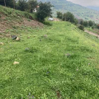 دوهزلرمترزمین مسکونی متراژ کم ترفروخته میشه|فروش زمین و ملک کلنگی|تالش, تالش|دیوار