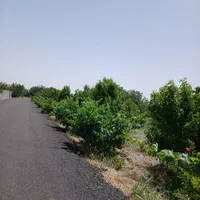باغ وباغچه/۲۵۶متری/سندتک برگ/مسیرآسفالت|فروش زمین و ملک کلنگی|تهران, شهرک ولیعصر جنوبی|دیوار