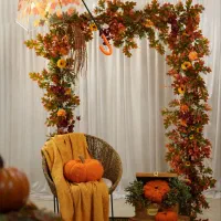 عکاسی پاییزی|خدمات پذیرایی، مراسم|اردبیل, |دیوار