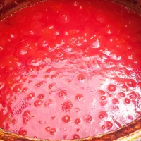 محصولات خونگی و ارگانیک به شرط ضمانت مرجوعی***|خوردنی و آشامیدنی|تهران, فرزانه|دیوار