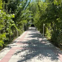 کاسبی-بلوار-امام-حسین-باغویلا-سند-تک-برگ