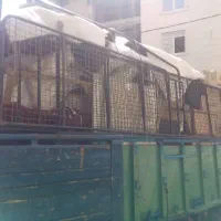 سلام به همه|خدمات حمل و نقل|لار, |دیوار