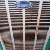 کولرابی جنرال