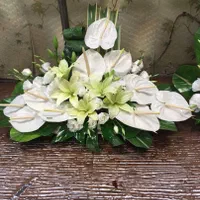 ارائه خدمات سبد گل دسته گل تاج گل پایه گل ترحیم|خدمات پذیرایی، مراسم|مشهد, امیر|دیوار