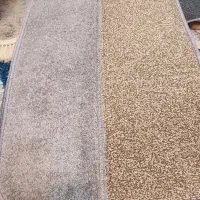 زرباف و زیما|فرش|سنندج, |دیوار