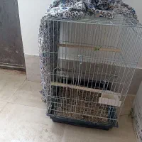 قفس کاسکویی