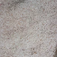 برنج هاشمی گیلان
