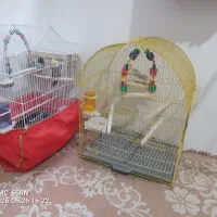 عروس هلندی