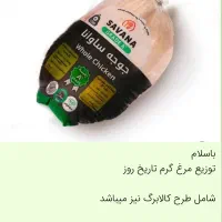 مرغ سالم و تازه افق کوروش بادامستان