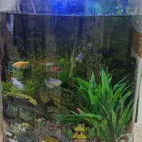 آکواریوم شرکتی شیک نیم دایره