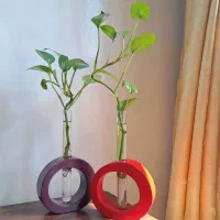 گلجای گرد دفرمه به همراه شیشه مخصوص