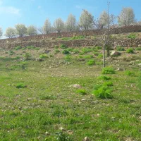 منزل-ویلایی-تک-خواب