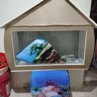 اکواریوم|لوازم جانبی حیوانات|شیراز, کوشک میدان|دیوار