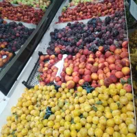آف میوه باکیفیت