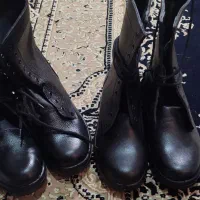 پوتین طبی.بهمن و پاما