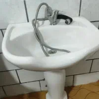 سر شور  ایستاده