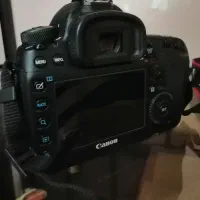 canon 5d mark4 IV کنون 5 دی مارک 4 لنز 50 میلیمتر|دوربین عکاسی و فیلم‌برداری|فولادشهر, B4|دیوار