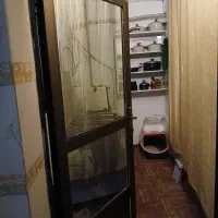 آپارتمان ۱۰۰متری خیابان ملل آلوچه باغ ۳ یا کهن۴|فروش آپارتمان|گرگان, |دیوار