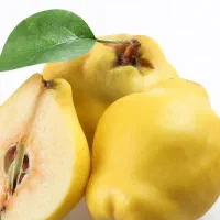 پیشفروش نهال به اونشاب لیبل دار|خدمات باغبانی و درختکاری|ایوان, |دیوار