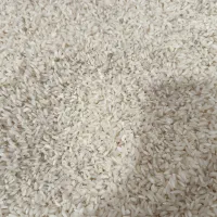 برنج چمپا محلی اصل|خوردنی و آشامیدنی|لیکک, |دیوار