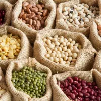 انواع حبوبات و سبزی خشک