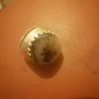 شجر|جواهرات|کرمانشاه, |دیوار