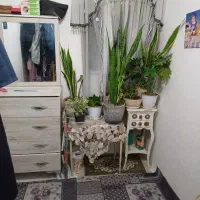 منزل مسکونی فروشی|فروش خانه و ویلا|رباط‌کریم, شترخوار|دیوار