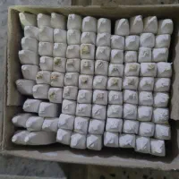 گچ تخته سیاه کاملا جنس نرم|لوازم التحریر|تهران, شهرک فردوس (حسینی)|دیوار