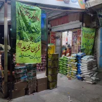 کالابرگ همه تجناس زیرقیمت