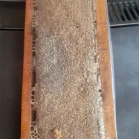 عسل طبیعی سبلان اردبیل