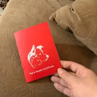 فرنچ بولداگ  نر|سگ|تهران, جردن|دیوار