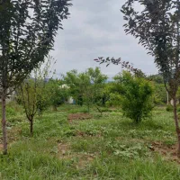 ۲۰۰متر زمین باغی مسکونی|فروش زمین و ملک کلنگی|مینودشت, |دیوار