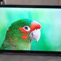 LED تیویSMART سام سونگ بسیارتمیز