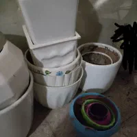 شلف.گلدان.میز و پایه|گل و گیاه طبیعی|قرچک, مهدیه|دیوار