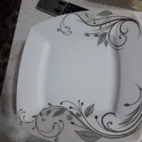 مقداری ظروف چینی نفیس