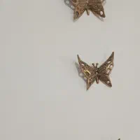 پروانه برنز