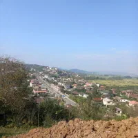 ۴۰۰ متر زمین مسکونی پلاک یک جنگل ویو ابدی|فروش زمین و ملک کلنگی|شیرگاه, |دیوار