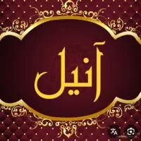 قالیشویی و مبل شویی مرکزی آنیل سراسر البرز|خدمات نظافت|کرج, باغستان|دیوار