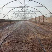 سازه گلخانه