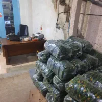 حسابدار