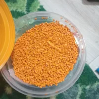 مواد رنگی مستر بچ|حراج|اندیشه, اندیشه فاز ۱|دیوار