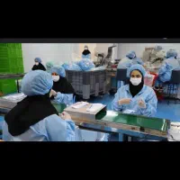 استخدام خانم کارگر ساده خط تولید بسته بندی پزشکی