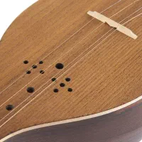 سه تار با کاور