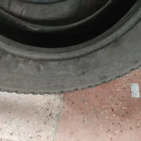 لاستیک نیسان|قطعات یدکی و لوازم جانبی|مراغه, |دیوار