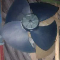 پروانه بلاور