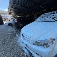 نیازمند نیرو کارواش کار|استخدام سرایداری و نظافت|چالوس, |دیوار