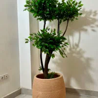 ساخت انواع درختچه مصنوعی