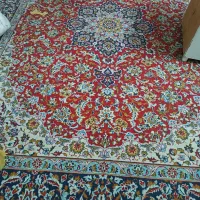 جفت فرش ۱۲متری|فرش|یزد, |دیوار