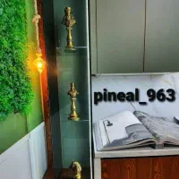 دکوراسیون داخلی  پینه آل|خدمات پیشه و مهارت|کرمانشاه, |دیوار