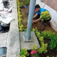 خدمات امور باغبانی گلکاری باغچه کاری هرسکاری کودهی